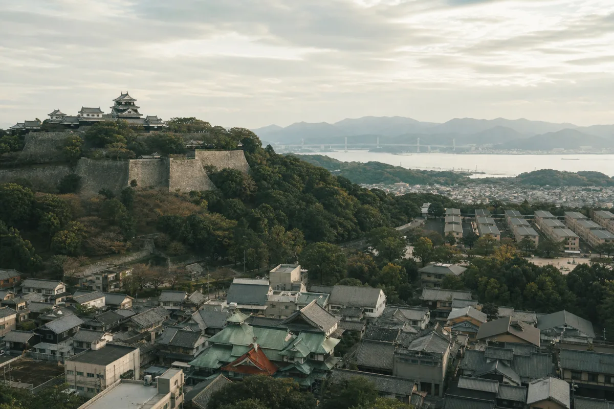 【2026最新】松山市の空室対策！道後温泉×松山大学・愛媛大学×伊予鉄の三本柱